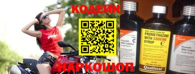 гашик Жуковский